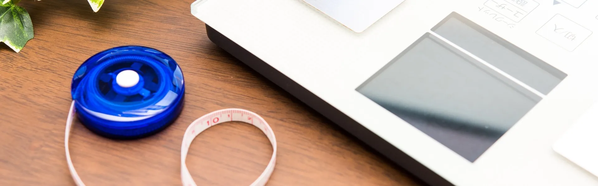 つくば市で始める後悔しないダイエット。肥満外来でリバウンドのない健康的な毎日へ